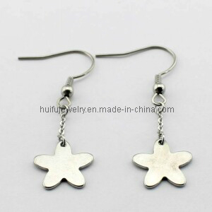 Customized Steel Earrings