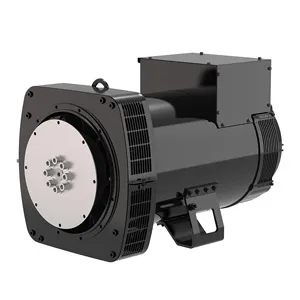 50kW Alternator Dynamo Generator Synchronous AC Leroy Somer
