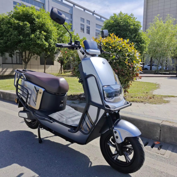 Best 1000W 48V Electric Scooter for Adults for Sale
