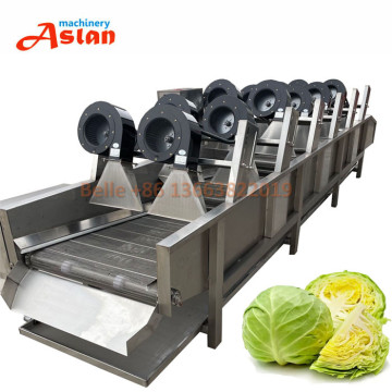 Automatic Tomato Air-Drying and Packaging Machine