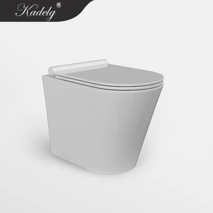 Watermark Rimless Back to Wall Bathroom Ceramic Toilet