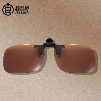 Lion King Vision Clip-On Polarized Sunglasses for Myopia