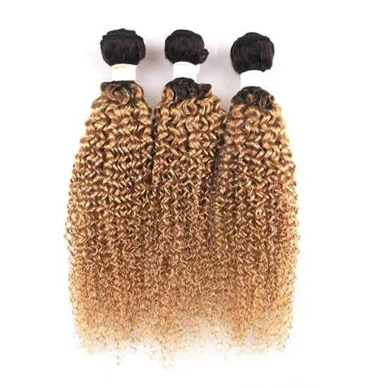 T1B/27 Ombre Brazilian Body Wave Hair Bundles 8-26 Inch Honey Blonde Human Hair Extension 1/3/4 PCS  virgin Hair Weave Bundles