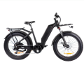 24 इंच 48v 500w रियर मोटर एमटीबी मिश्र धातु इलेक्ट्रिक साइकिल
