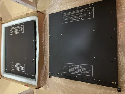 Triconex 2652-300 Triconex  3007