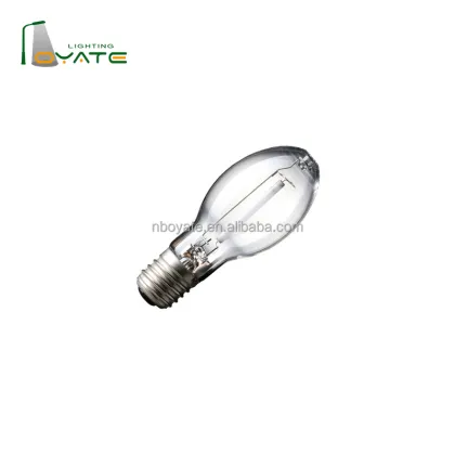 2000W High Pressure Sodium Lamps for Street Lighting: Traditional Sodium Bulbs in Tubular Oval Mode with Clear Glass