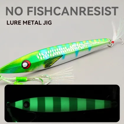 OEM 3D Print Slow Sinking Saltwater Luminous Jigs for Fishing Lures (40g-200g)
