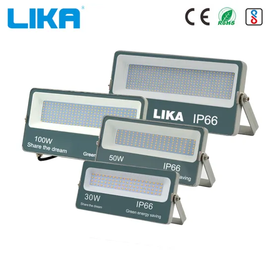 30W Die Casting Aluminum Outdoor LED Floodlight