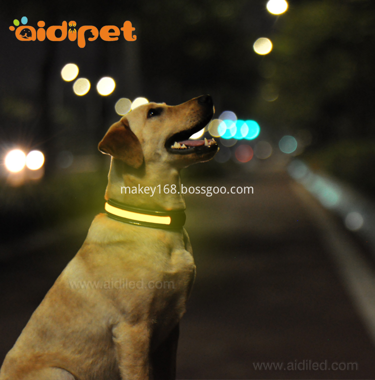 Illuminated Led Dog Collars