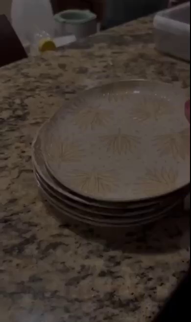 Rustic Farmhouse Dinner Plate Set