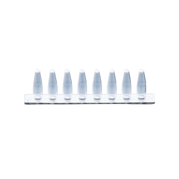 High Quality 8-Strip PCR Tube Caps
