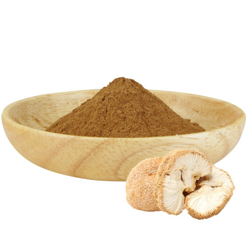 Hericium Erinaceus Monkey Head Mushroom Extract Powder