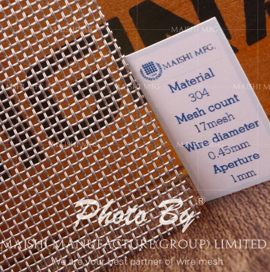 SS Wire Mesh (28 years factory)