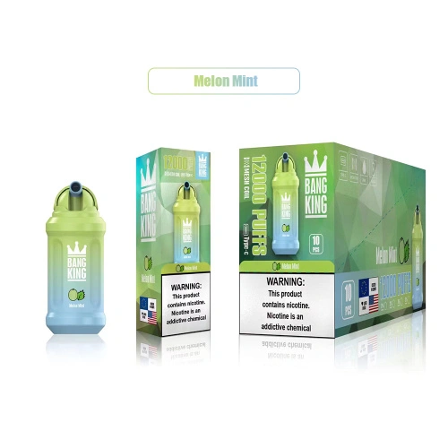 Disposable Vape Gerät Bang King 12000 Slowenien China Fabrikant