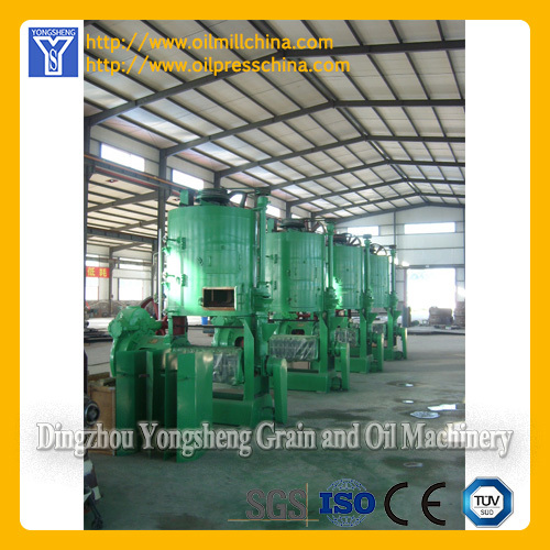 Oil Extruder for Vegetable Oil Production line