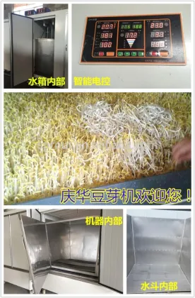 2015 HOT Automatic bean sprouts machine, mung bean sprouts making machine