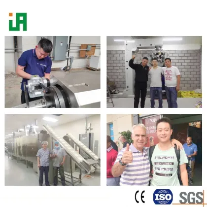 Pro Plan Pet Food Manufacturing Equipment: Double-Screw Animal Feed Extrusion Lines for Dogs and Cats