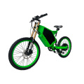 Benutzerdefinierte Lithium-Batterie-Power-elektrisches Off-Road-Fahrrad