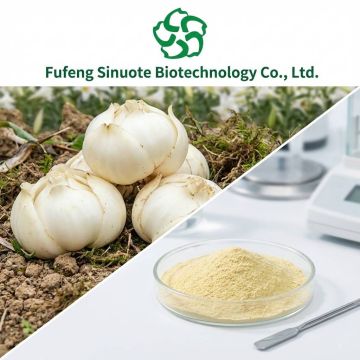 Lilium Brownii Bulb Extract: Your Secret to Radiant Skin