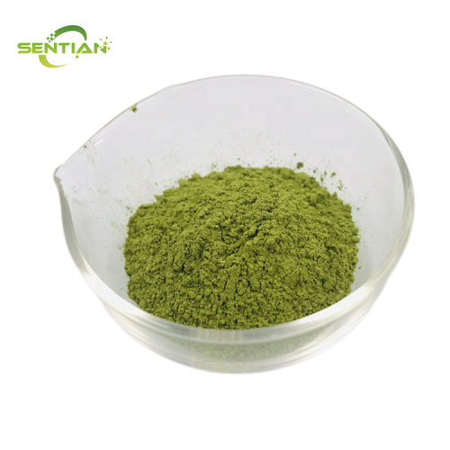 High-quality celery powder, extracted from celery