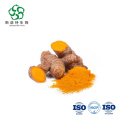 Natural Turmeric Root Extract Curcumin Powder