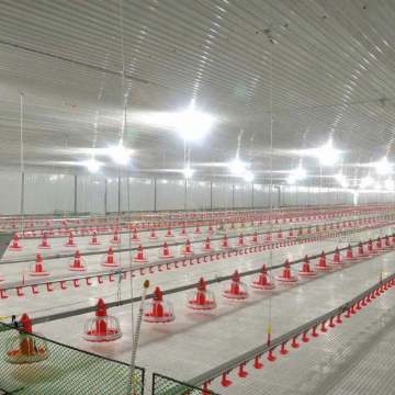 High-Efficiency Low-Cost Automatic Pan Feeding System for Flooring Raising Farms