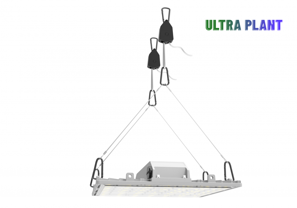 Full Spectrum for Plants Fruit Growth Lamps