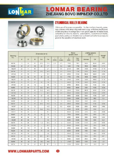 01 CYLINDRICAL ROLLER BEARING NU203 NU204 NU2204 NU304 NU2304