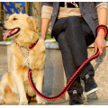 Braided Nylon Dog Leash