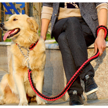 編組ナイロン犬リーシュ