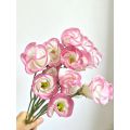 Lisianthus সরাসরি ফার্ম থেকে পিঙ্ক এজ সহ পাইকারি