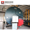 Natural Gas Steam Boiler for Canned Tuna Factory