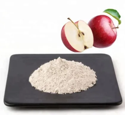 High Quality Apple peel extract Apple Polyphenol Phloretin