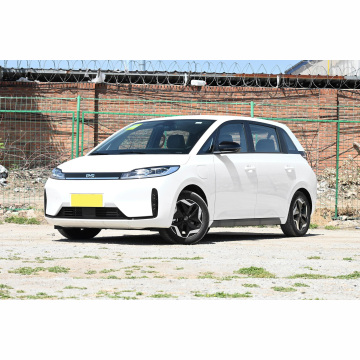 BYD D1 MPV: 5 Seater Pure Electric New Energy Vehicle