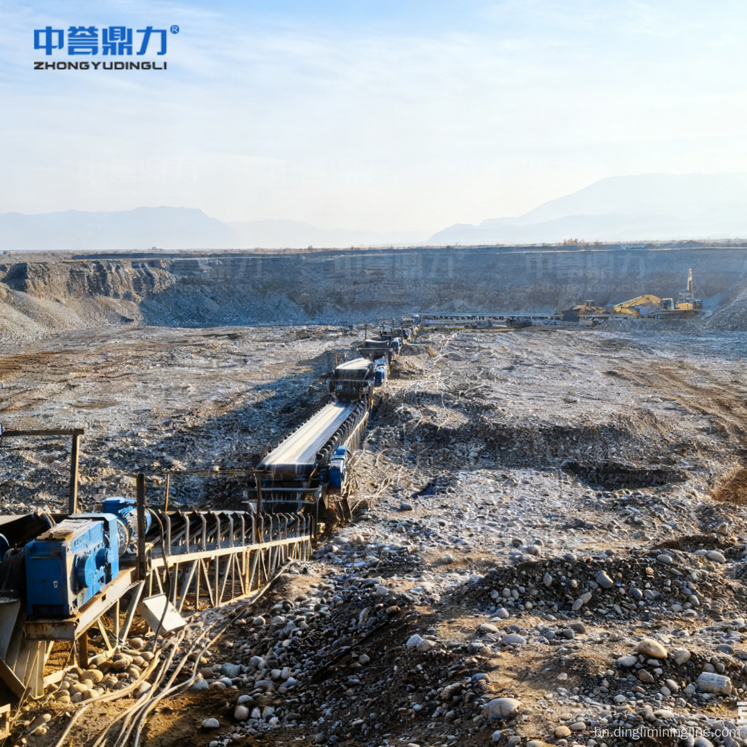 কাস্টমাইজযোগ্য সম্পূর্ণ সেট স্বর্ণ আকরিক উপকারীকরণ লাইন