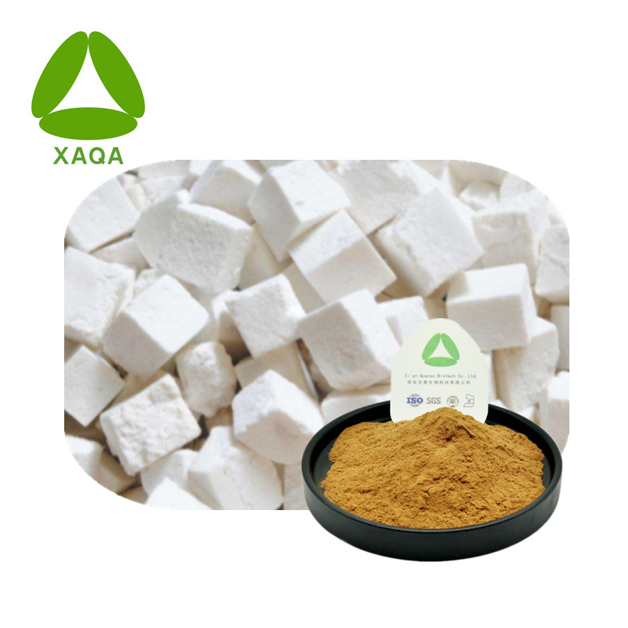 CAS 29070-92-6 PORIA COCOS EXTRAIT POUDRE ACIDE PACHIMIQUE