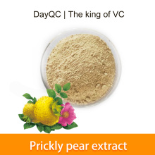 Prickly pear fruit powder bulk raw material