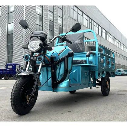 Meidi Wholesale Price Trike Electric Tricycle for Cargo