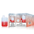 Bang BC 5000PUFFS Rechargeable Disposable Vape Type-c