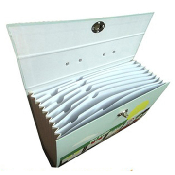 Business Paper Portfolio Folder With Dividers