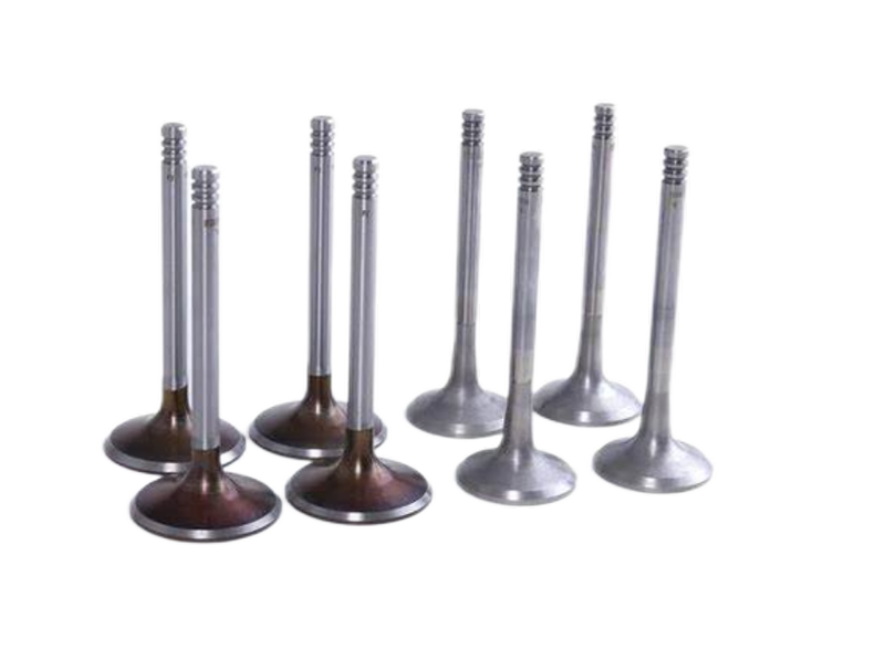 Durable Exhaust Valve - Heat & Corrosion Resistant