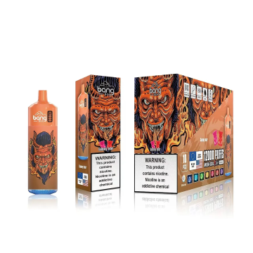 Bang 12000 Puffs Disposable Vape Rechargeable