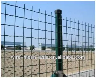 holand welded wire mesh fence in roll (direct manufacture)