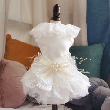 Vestido de noite para cachorros de cachorro de alta qualidade