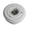 LEDER White Simple Morden Vinyl Pool Light