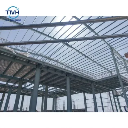 Best Sale Steel Structure Heavy House