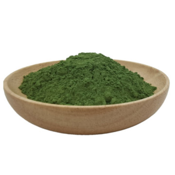 Kosher certified vegetable powder dry spinach powder