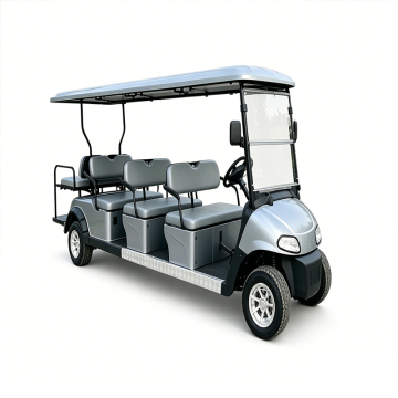 Modern Design Golf Carts for Recreation
