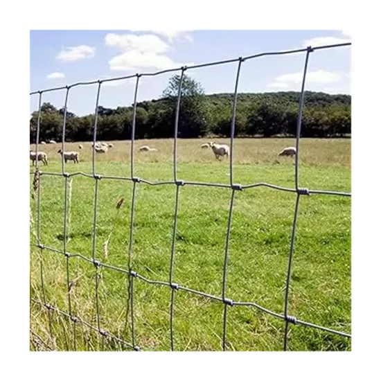 High Quality Galvanized Iron Wire Mesh Fence for Pasture and Fields