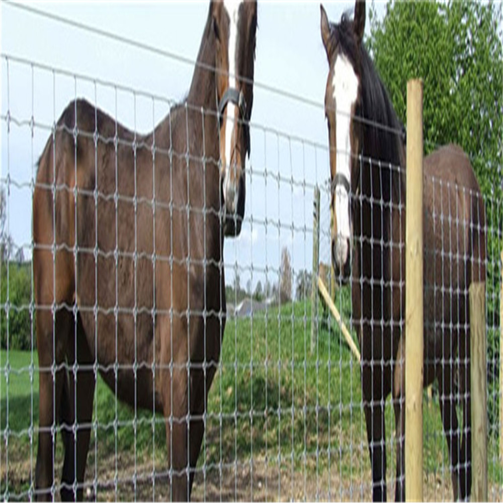 Hot Sale High Quality  Ganvanized Field Fence